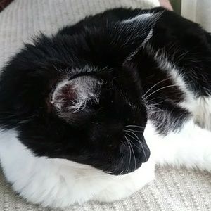 Meet your Posher, Beverly